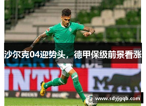 沙尔克04迎势头，德甲保级前景看涨