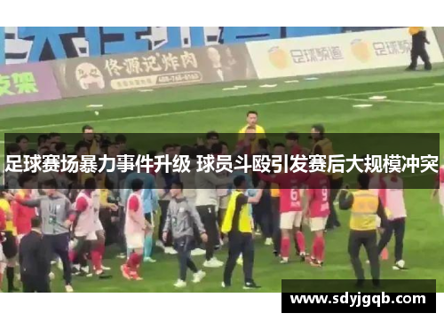 足球赛场暴力事件升级 球员斗殴引发赛后大规模冲突