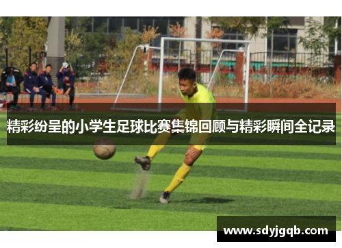 精彩纷呈的小学生足球比赛集锦回顾与精彩瞬间全记录