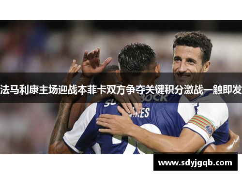 法马利康主场迎战本菲卡双方争夺关键积分激战一触即发